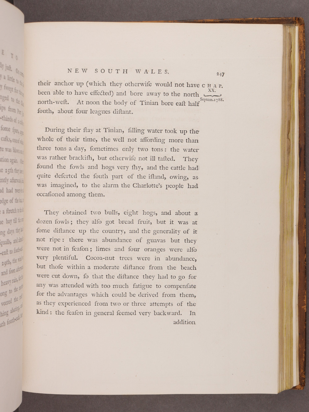 Page 247